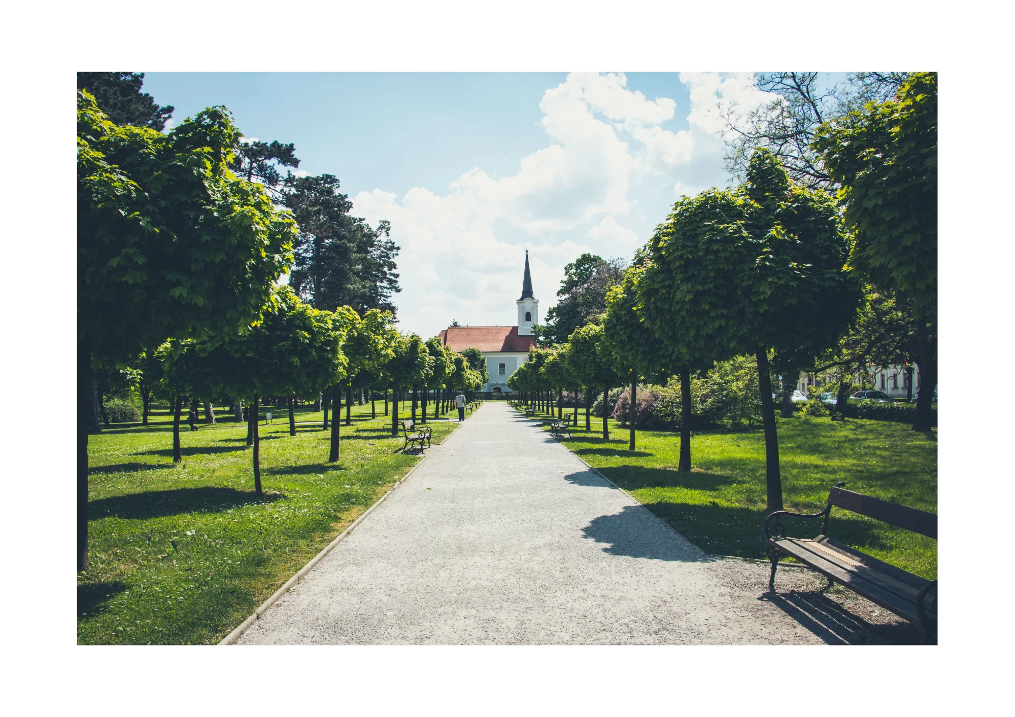 Plan Adaptacji do zmian klimatu – zielona infrastruktura i działania adaptacyjne